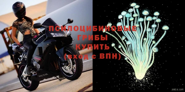 круглые Алзамай