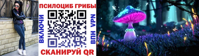 ссылка на мегу ONION Арамиль Псилоцибиновые грибы мицелий